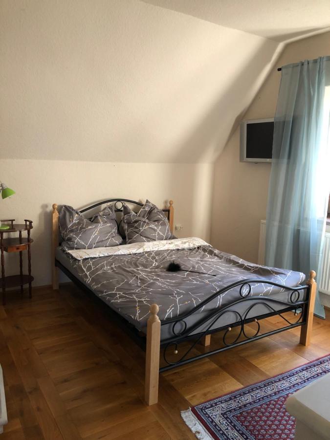 Ferienhaus Mit Pool Zum Traeumen Und Entspannen Fuer Alle Sinne Bad Schmiedeberg Luaran gambar